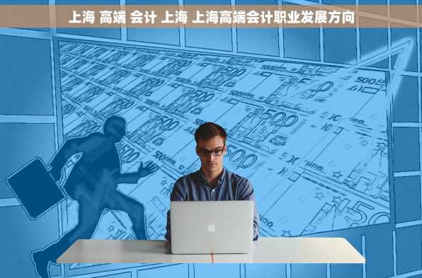 上海 高端 会计 上海 上海高端会计职业发展方向