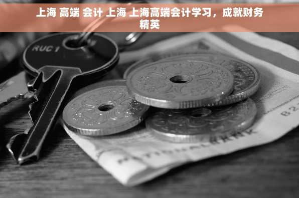 上海 高端 会计 上海 上海高端会计学习，成就财务精英