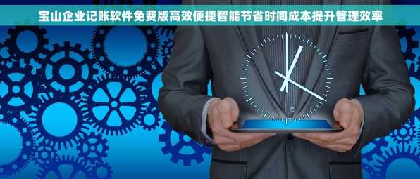 宝山企业记账软件免费版高效便捷智能节省时间成本提升管理效率