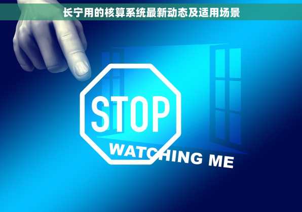 长宁用的核算系统最新动态及适用场景