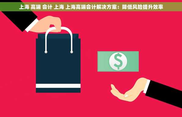 上海 高端 会计 上海 上海高端会计解决方案：降低风险提升效率