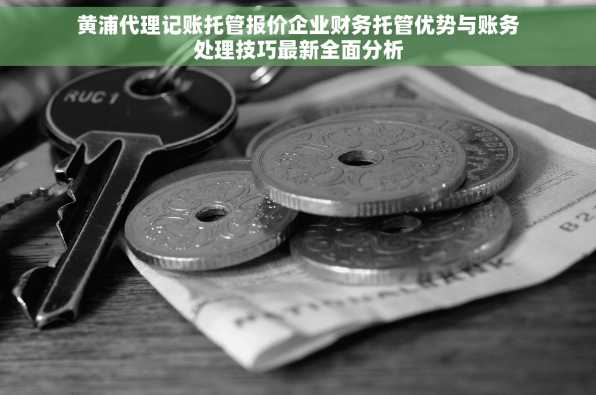 黄浦代理记账托管报价企业财务托管优势与账务处理技巧最新全面分析