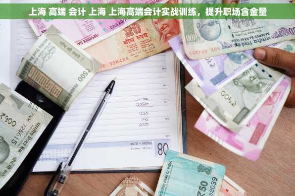 上海 高端 会计 上海 上海高端会计实战训练，提升职场含金量