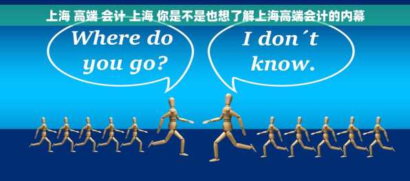 上海 高端 会计 上海 你是不是也想了解上海高端会计的内幕