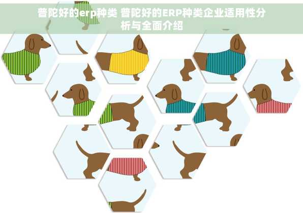 普陀好的erp种类 普陀好的ERP种类企业适用性分析与全面介绍