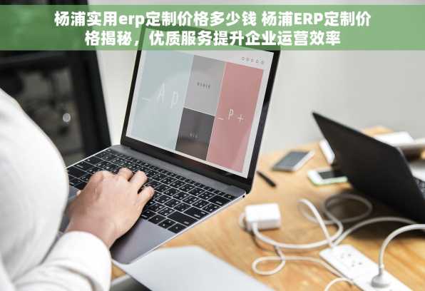 杨浦实用erp定制价格多少钱 杨浦ERP定制价格揭秘，优质服务提升企业运营效率