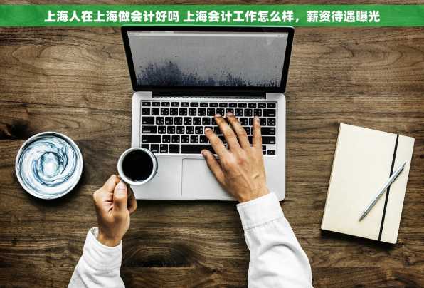 上海人在上海做会计好吗 上海会计工作怎么样，薪资待遇曝光