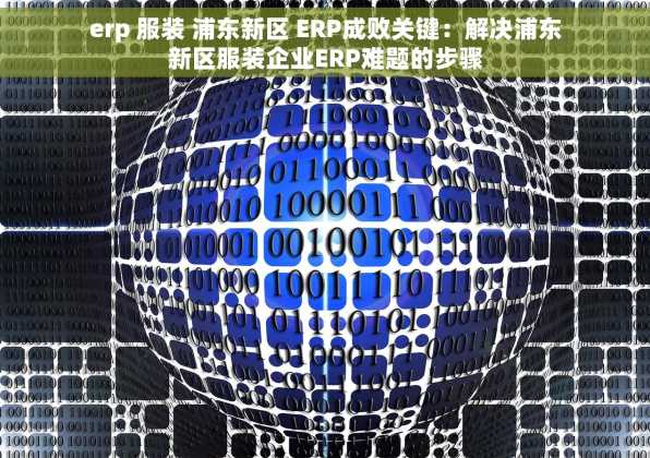erp 服装 浦东新区 ERP成败关键：解决浦东新区服装企业ERP难题的步骤