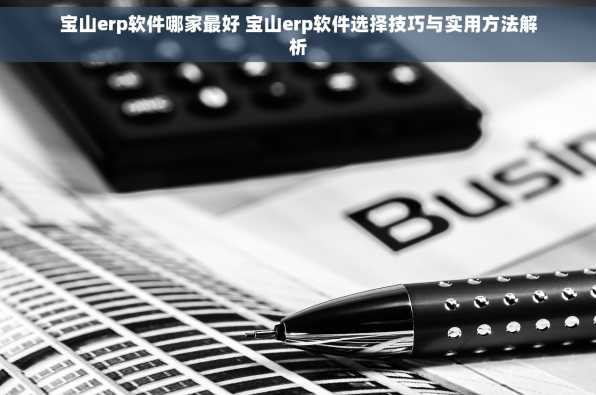 宝山erp软件哪家最好 宝山erp软件选择技巧与实用方法解析