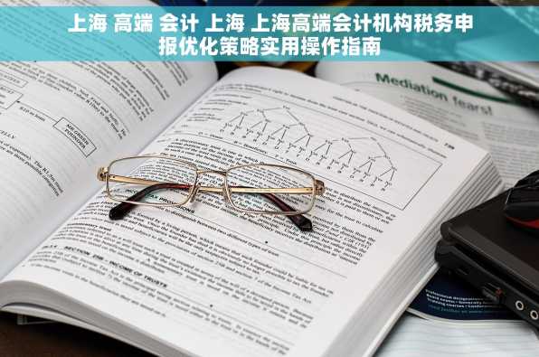 上海 高端 会计 上海 上海高端会计机构税务申报优化策略实用操作指南