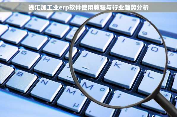 徐汇加工业erp软件使用教程与行业趋势分析