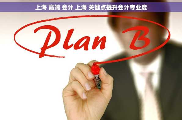 上海 高端 会计 上海 关键点提升会计专业度