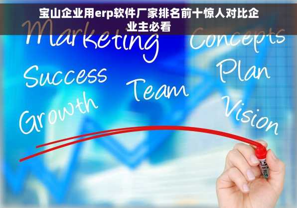 宝山企业用erp软件厂家排名前十惊人对比企业主必看