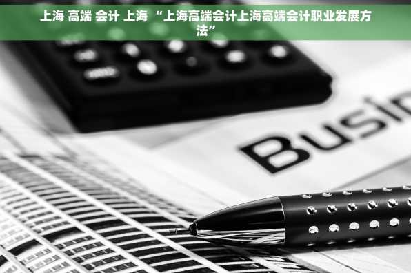 上海 高端 会计 上海 “上海高端会计上海高端会计职业发展方法”