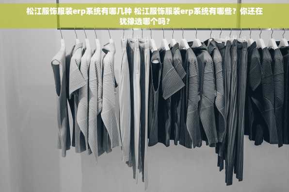 松江服饰服装erp系统有哪几种 松江服饰服装erp系统有哪些？你还在犹豫选哪个吗？