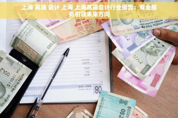 上海 高端 会计 上海 上海高端会计行业报告：专业服务引领未来方向