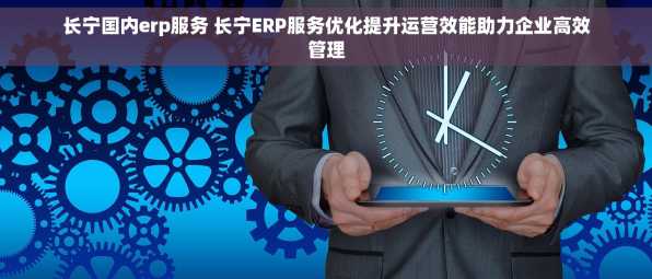 长宁国内erp服务 长宁ERP服务优化提升运营效能助力企业高效管理