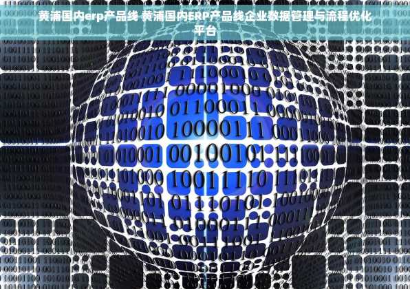 黄浦国内erp产品线 黄浦国内ERP产品线企业数据管理与流程优化平台