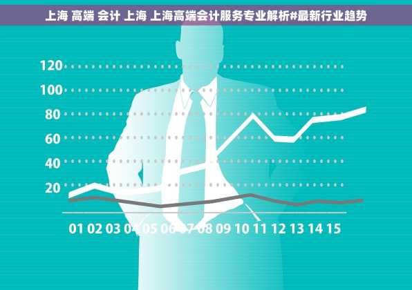 上海 高端 会计 上海 上海高端会计服务专业解析#最新行业趋势