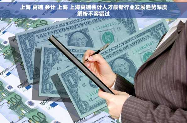 上海 高端 会计 上海 上海高端会计人才最新行业发展趋势深度解析不容错过