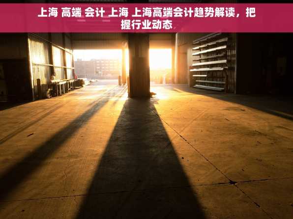 上海 高端 会计 上海 上海高端会计趋势解读，把握行业动态