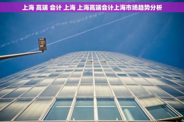 上海 高端 会计 上海 上海高端会计上海市场趋势分析
