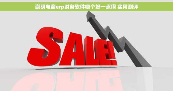 崇明电商erp财务软件哪个好一点啊 实用测评