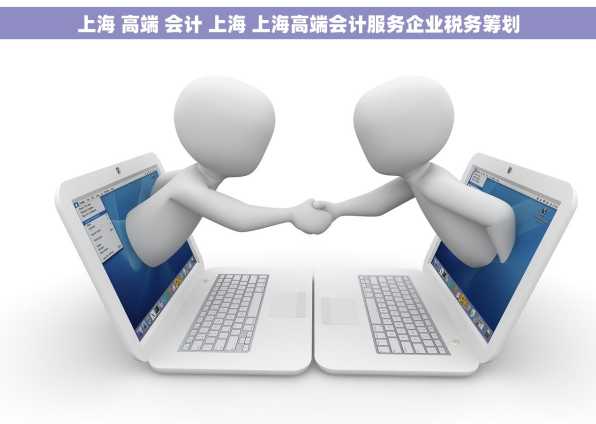 上海 高端 会计 上海 上海高端会计服务企业税务筹划