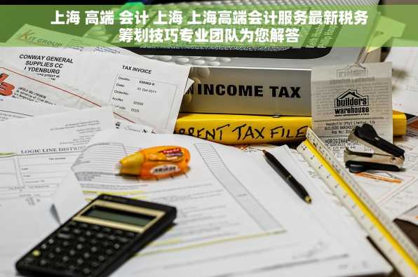 上海 高端 会计 上海 上海高端会计服务最新税务筹划技巧专业团队为您解答
