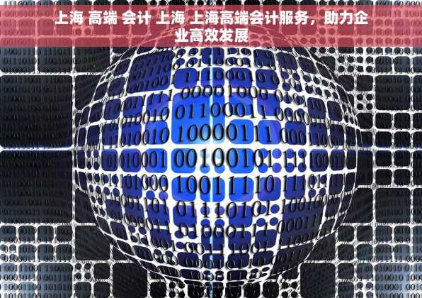 上海 高端 会计 上海 上海高端会计服务，助力企业高效发展