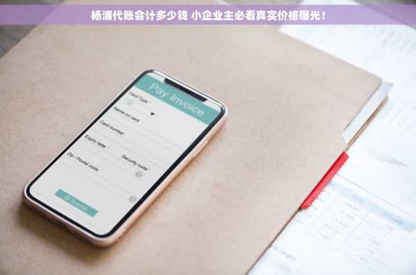 杨浦代账会计多少钱 小企业主必看真实价格曝光！