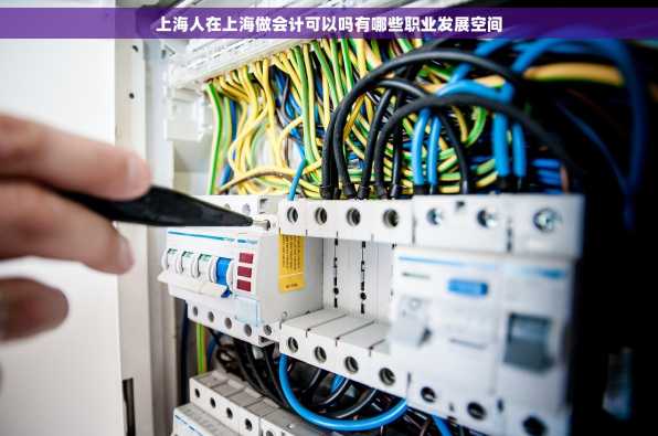 上海人在上海做会计可以吗有哪些职业发展空间