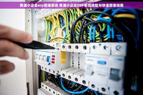 黄浦小企业erp管理系统 黄浦小企业ERP系统选型与快速部署指南