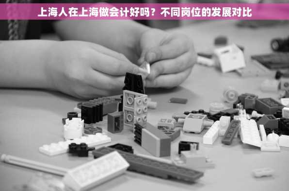 上海人在上海做会计好吗？不同岗位的发展对比