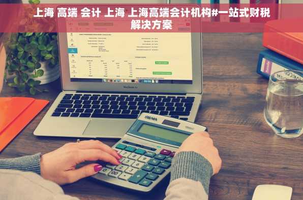 上海 高端 会计 上海 上海高端会计机构#一站式财税解决方案