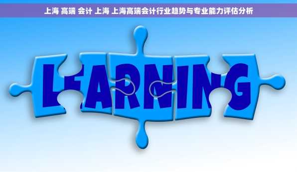 上海 高端 会计 上海 上海高端会计行业趋势与专业能力评估分析