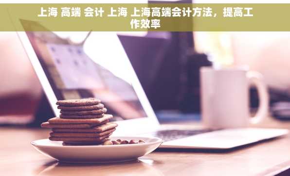 上海 高端 会计 上海 上海高端会计方法，提高工作效率
