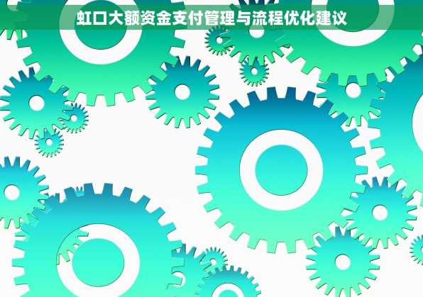 虹口大额资金支付管理与流程优化建议