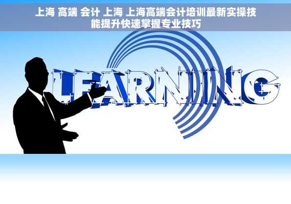上海 高端 会计 上海 上海高端会计培训最新实操技能提升快速掌握专业技巧