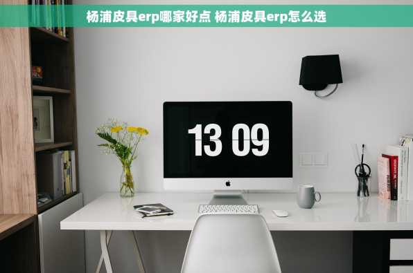 杨浦皮具erp哪家好点 杨浦皮具erp怎么选