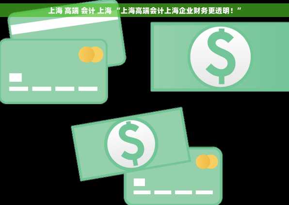 上海 高端 会计 上海 “上海高端会计上海企业财务更透明！”