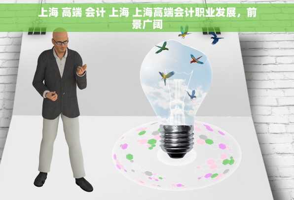 上海 高端 会计 上海 上海高端会计职业发展，前景广阔