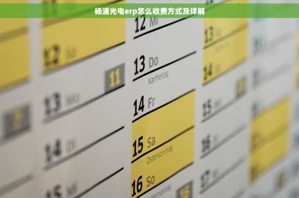 杨浦光电erp怎么收费方式及详解