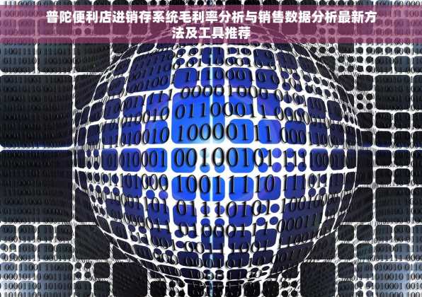 普陀便利店进销存系统毛利率分析与销售数据分析最新方法及工具推荐