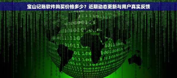 宝山记账软件购买价格多少？近期动态更新与用户真实反馈