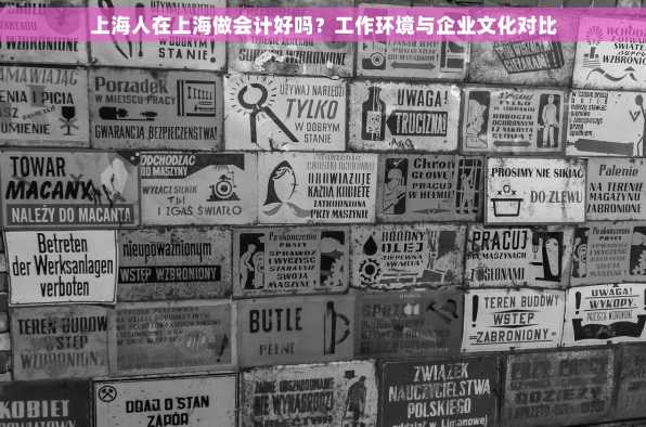 上海人在上海做会计好吗？工作环境与企业文化对比