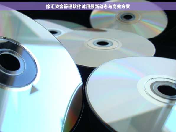 徐汇资金管理软件试用最新动态与高效方案