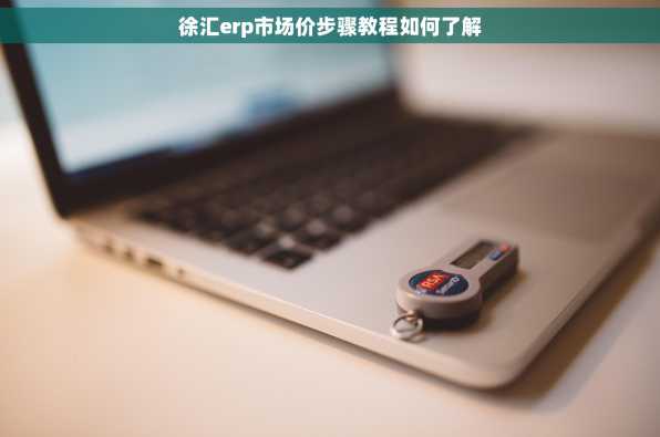 徐汇erp市场价步骤教程如何了解