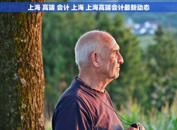 上海 高端 会计 上海 上海高端会计最新动态