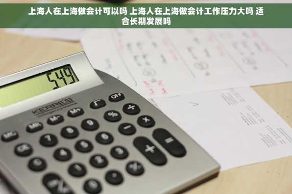 上海人在上海做会计可以吗 上海人在上海做会计工作压力大吗 适合长期发展吗